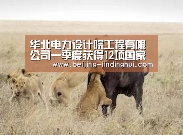 华北电力设计院工程有限公司一季度获得12项国家专利授权‘ 金鼎会APP’(图2) 金鼎会体育